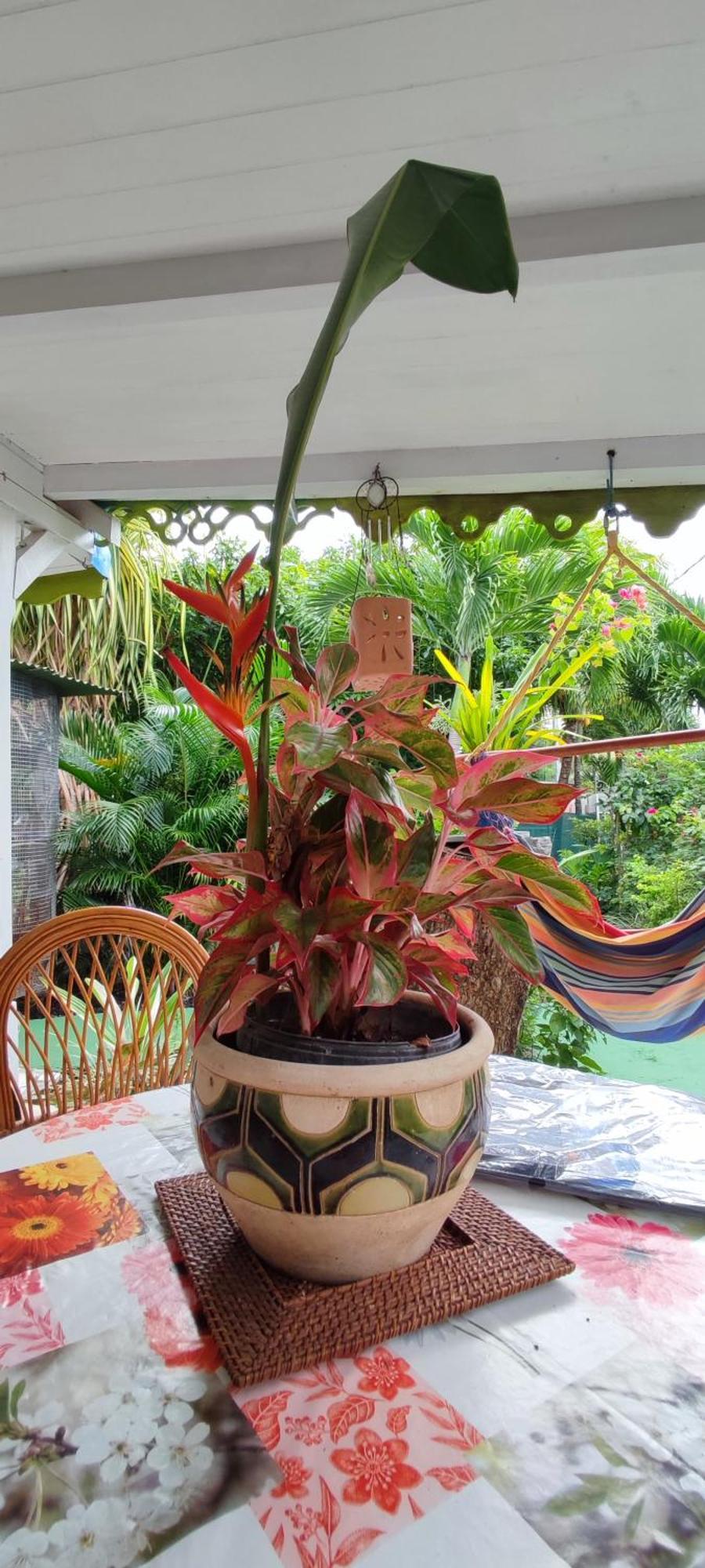 La Kaz Creole 2 Villa Bouillante Luaran gambar